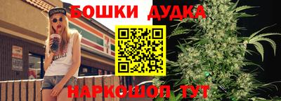 гидра Комсомольск-на-Амуре