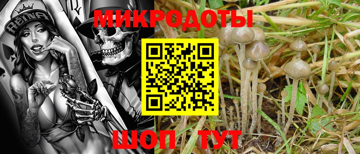 купить наркоту  Вход с VPN  Ярцево  Галлюциногенные грибы Psilocybe 