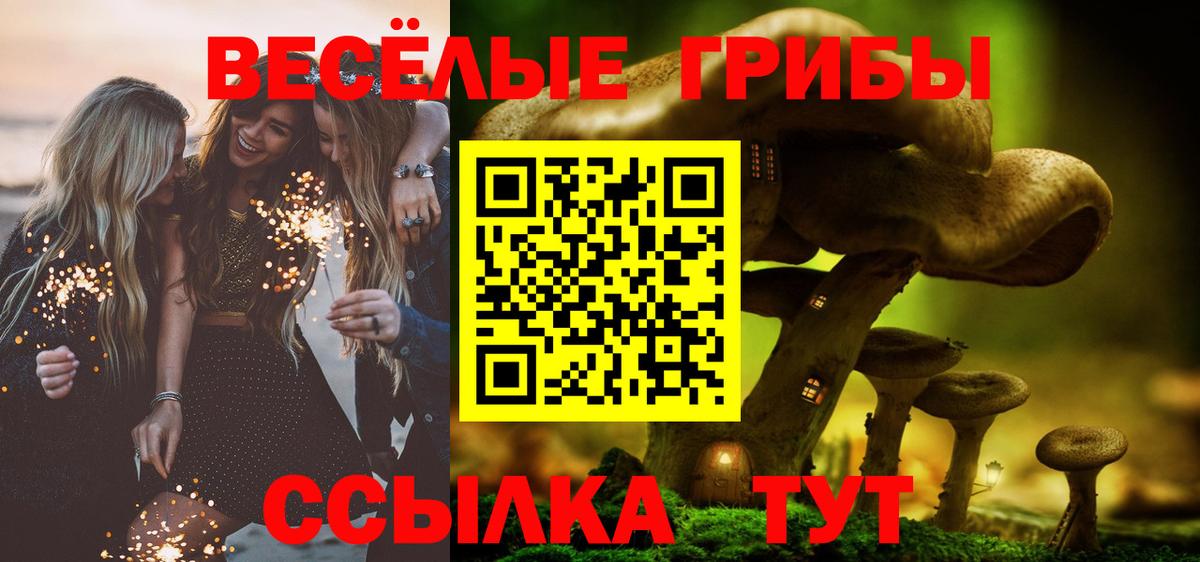 Псилоцибиновые грибы ЛСД Ярцево